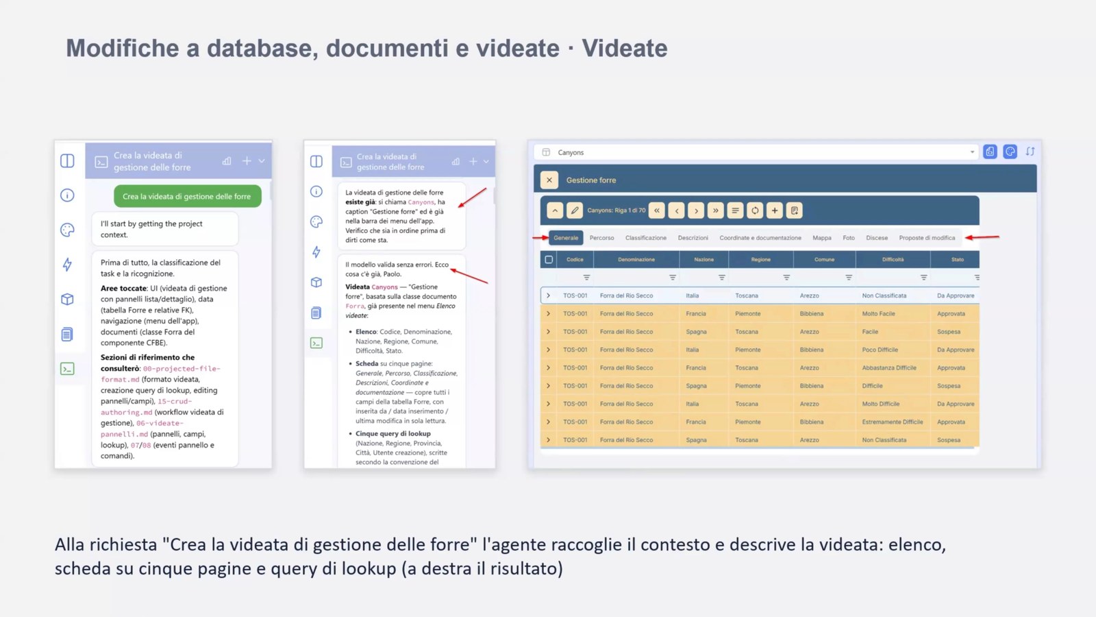 La videata delle forre costruita dall'agente di sviluppo dentro Studio, con i campi divisi in pagine
