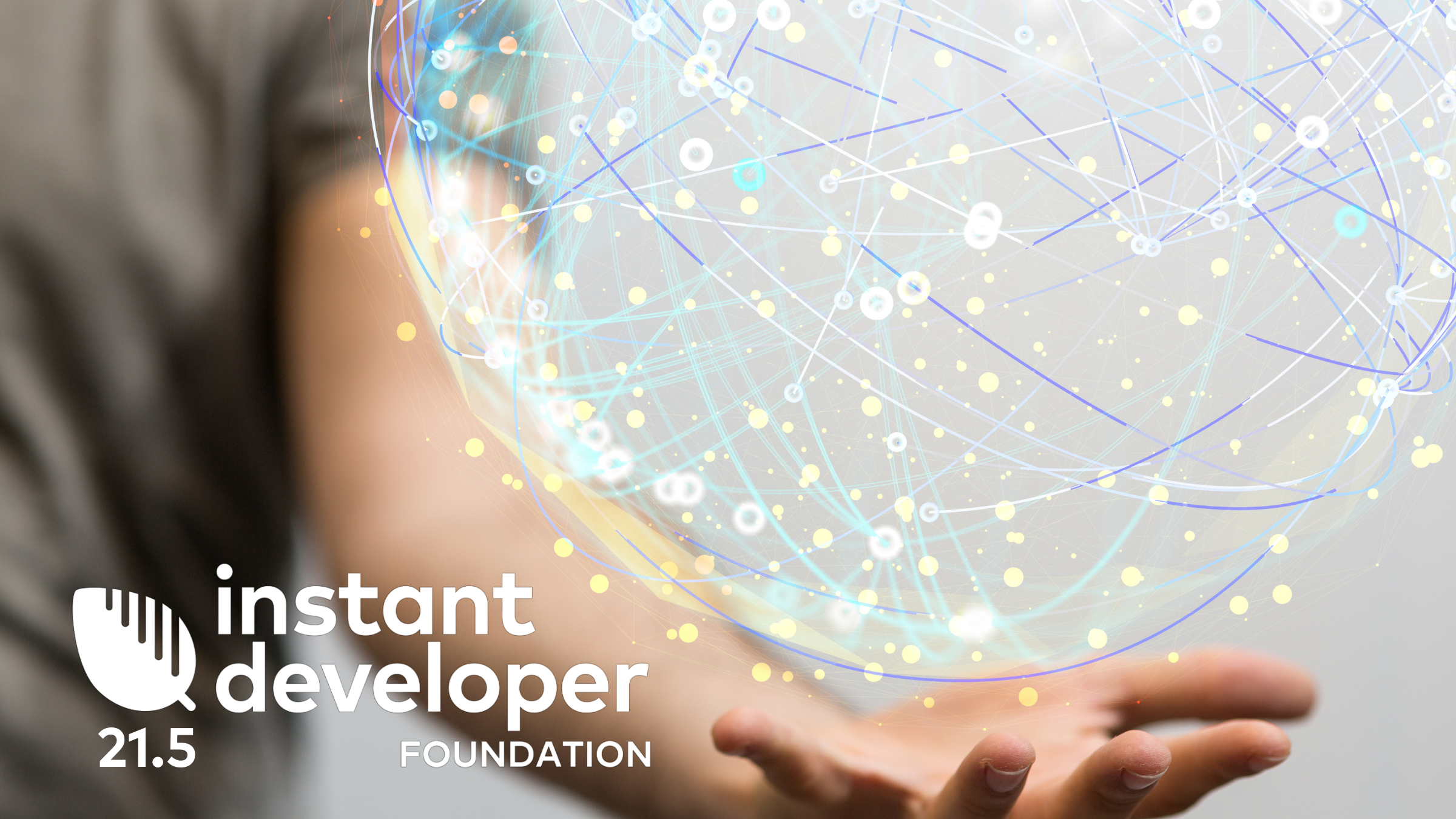 Instant Developer Foundation 21.5