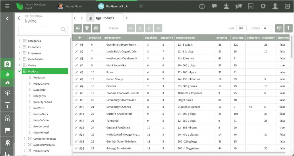 struttura database 03 Instant Developer