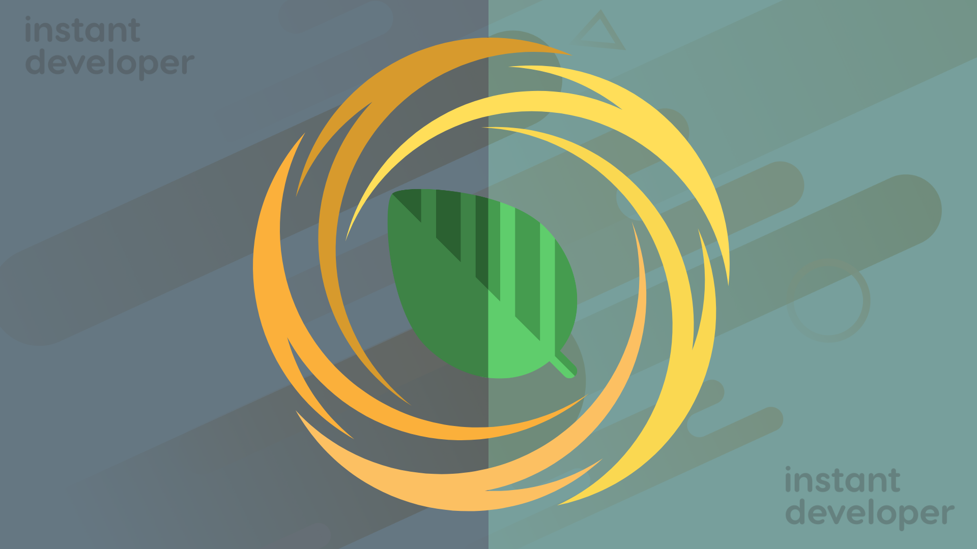 Programma Early Adoption di Instant Developer Studio