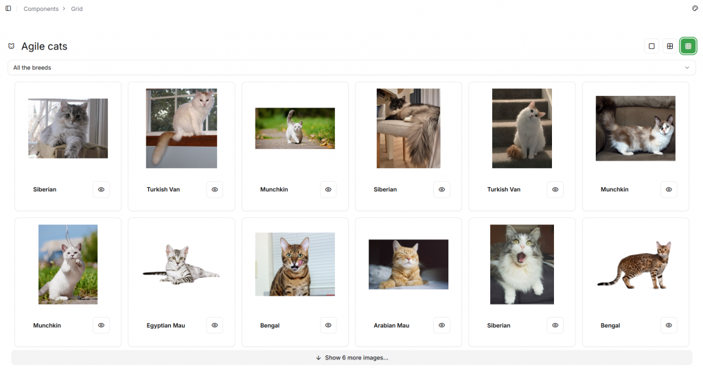 Definire il contenuto delle pagine Instant Developer shadowui design pattern 02 Instant Developer